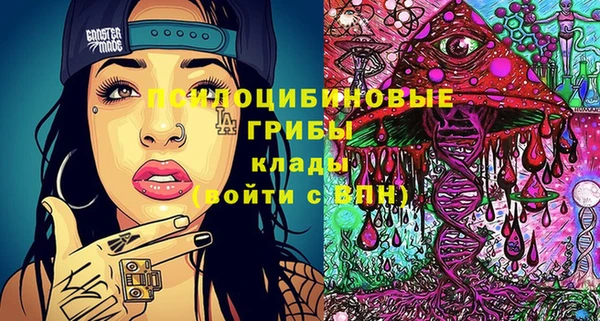 шишки Красноперекопск