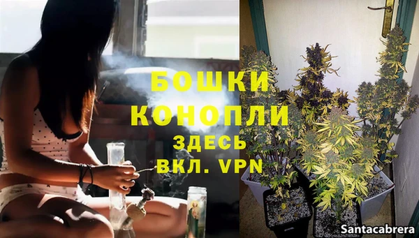 прущие грибы Краснослободск