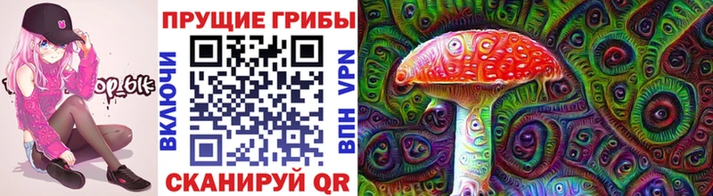 Псилоцибиновые грибы прущие грибы  маркетплейс наркотические препараты  Дербент 