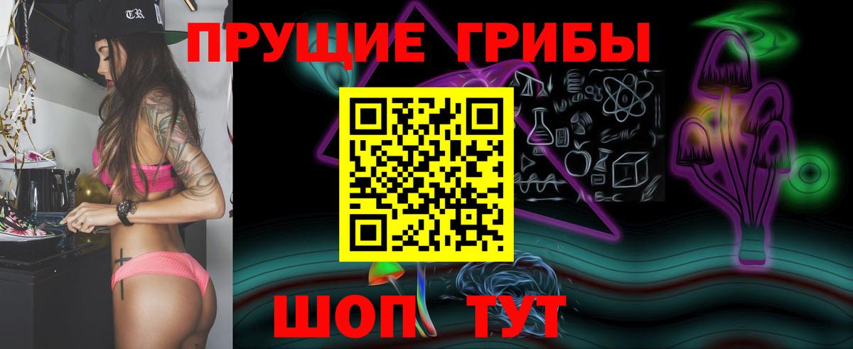 Дербент  Псилоцибиновые грибы Cubensis  Псилоцибиновые грибы MAGIC MUSHROOMS  Вход с VPN 